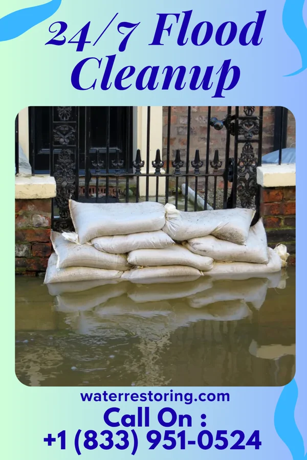 24/7 Flood Cleanup in Reform, AL