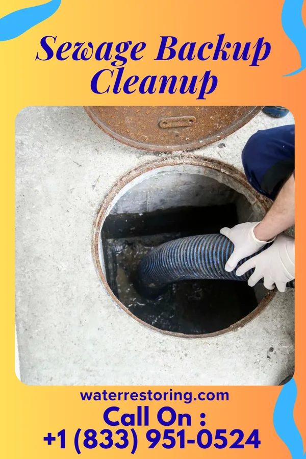 Sewage Backup Cleanup in Reform, AL